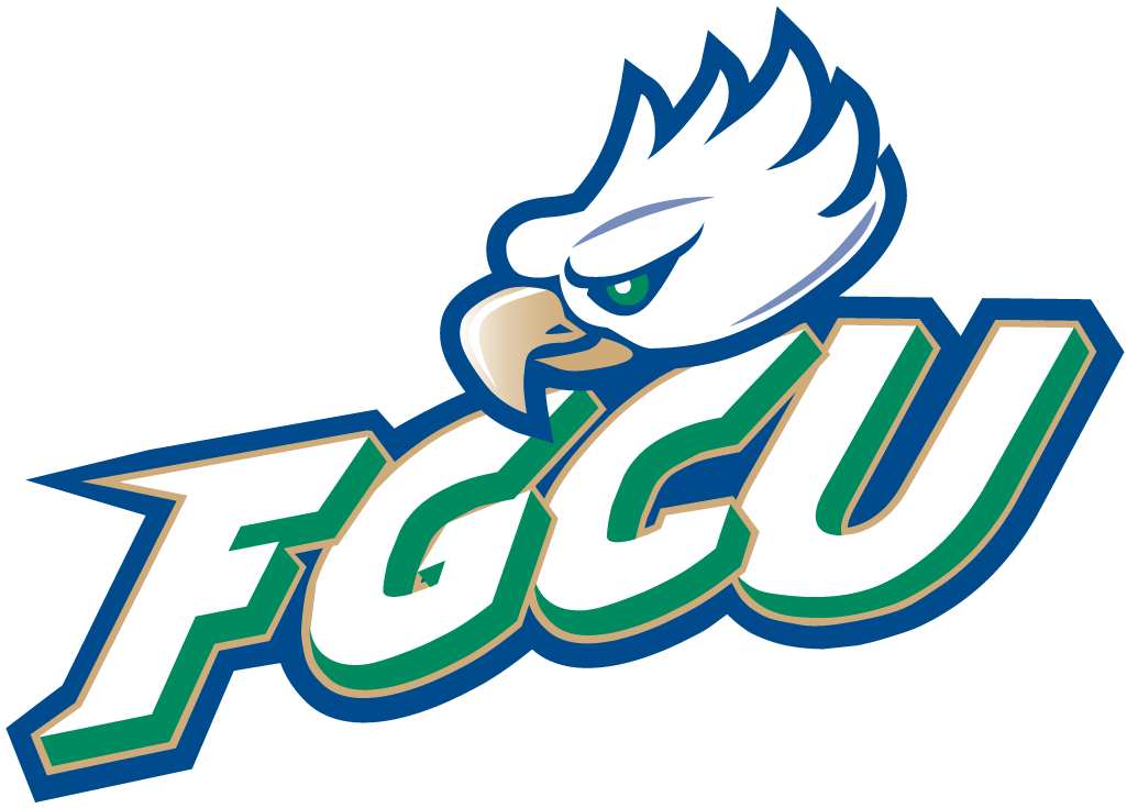 Florida Gulf Coast Eagles iron ons